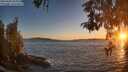 ./images/koeye/fitz-hugh/20260504/fitz-hugh20260504_204001M.jpg