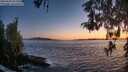 ./images/koeye/fitz-hugh/20260504/fitz-hugh20260504_212502M.jpg
