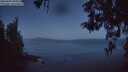 ./images/koeye/fitz-hugh/20260505/fitz-hugh20260505_051001M.jpg