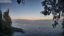 ./images/koeye/fitz-hugh/20260505/fitz-hugh20260505_063502M.jpg