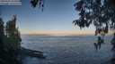 ./images/koeye/fitz-hugh/20260505/fitz-hugh20260505_064501M.jpg
