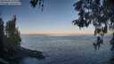 ./images/koeye/fitz-hugh/20260505/fitz-hugh20260505_065002M.jpg