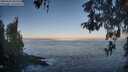 ./images/koeye/fitz-hugh/20260505/fitz-hugh20260505_065501M.jpg