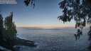 ./images/koeye/fitz-hugh/20260505/fitz-hugh20260505_070001M.jpg