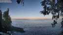 ./images/koeye/fitz-hugh/20260505/fitz-hugh20260505_071001M.jpg