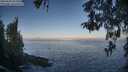 ./images/koeye/fitz-hugh/20260505/fitz-hugh20260505_072001M.jpg