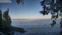 ./images/koeye/fitz-hugh/20260505/fitz-hugh20260505_072501M.jpg