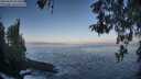 ./images/koeye/fitz-hugh/20260505/fitz-hugh20260505_073501M.jpg