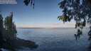 ./images/koeye/fitz-hugh/20260505/fitz-hugh20260505_075501M.jpg