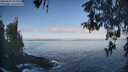 ./images/koeye/fitz-hugh/20260505/fitz-hugh20260505_080001M.jpg