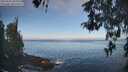 ./images/koeye/fitz-hugh/20260505/fitz-hugh20260505_081001M.jpg