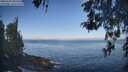 ./images/koeye/fitz-hugh/20260505/fitz-hugh20260505_081501M.jpg