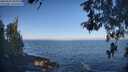 ./images/koeye/fitz-hugh/20260505/fitz-hugh20260505_084001M.jpg