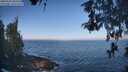 ./images/koeye/fitz-hugh/20260505/fitz-hugh20260505_084501M.jpg