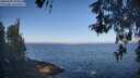 ./images/koeye/fitz-hugh/20260505/fitz-hugh20260505_085002M.jpg