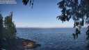 ./images/koeye/fitz-hugh/20260505/fitz-hugh20260505_085502M.jpg