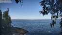 ./images/koeye/fitz-hugh/20260505/fitz-hugh20260505_090501M.jpg