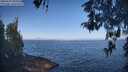 ./images/koeye/fitz-hugh/20260505/fitz-hugh20260505_091001M.jpg