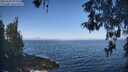 ./images/koeye/fitz-hugh/20260505/fitz-hugh20260505_093001M.jpg