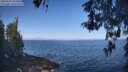 ./images/koeye/fitz-hugh/20260505/fitz-hugh20260505_093501M.jpg