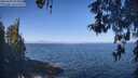 ./images/koeye/fitz-hugh/20260505/fitz-hugh20260505_095002M.jpg