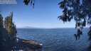 ./images/koeye/fitz-hugh/20260505/fitz-hugh20260505_100501M.jpg