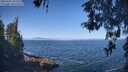 ./images/koeye/fitz-hugh/20260505/fitz-hugh20260505_101501M.jpg
