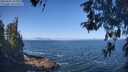 ./images/koeye/fitz-hugh/20260505/fitz-hugh20260505_103001M.jpg