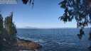 ./images/koeye/fitz-hugh/20260505/fitz-hugh20260505_103501M.jpg