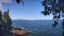 ./images/koeye/fitz-hugh/20260505/fitz-hugh20260505_104502M.jpg