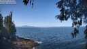 ./images/koeye/fitz-hugh/20260505/fitz-hugh20260505_105002M.jpg