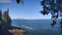 ./images/koeye/fitz-hugh/20260505/fitz-hugh20260505_110002M.jpg