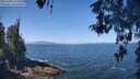 ./images/koeye/fitz-hugh/20260505/fitz-hugh20260505_113002M.jpg