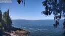 ./images/koeye/fitz-hugh/20260505/fitz-hugh20260505_113501M.jpg