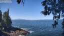 ./images/koeye/fitz-hugh/20260505/fitz-hugh20260505_114001M.jpg