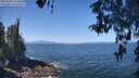 ./images/koeye/fitz-hugh/20260505/fitz-hugh20260505_114501M.jpg