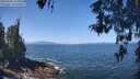 ./images/koeye/fitz-hugh/20260505/fitz-hugh20260505_115001M.jpg