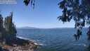 ./images/koeye/fitz-hugh/20260505/fitz-hugh20260505_120001M.jpg