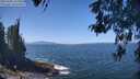 ./images/koeye/fitz-hugh/20260505/fitz-hugh20260505_123001M.jpg