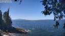 ./images/koeye/fitz-hugh/20260505/fitz-hugh20260505_123501M.jpg