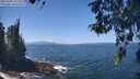 ./images/koeye/fitz-hugh/20260505/fitz-hugh20260505_125501M.jpg