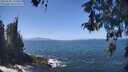 ./images/koeye/fitz-hugh/20260505/fitz-hugh20260505_130501M.jpg