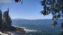 ./images/koeye/fitz-hugh/20260505/fitz-hugh20260505_131001M.jpg