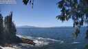 ./images/koeye/fitz-hugh/20260505/fitz-hugh20260505_132501M.jpg