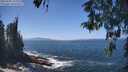 ./images/koeye/fitz-hugh/20260505/fitz-hugh20260505_133001M.jpg