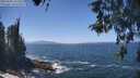 ./images/koeye/fitz-hugh/20260505/fitz-hugh20260505_133501M.jpg