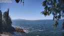./images/koeye/fitz-hugh/20260505/fitz-hugh20260505_134001M.jpg
