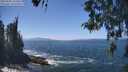 ./images/koeye/fitz-hugh/20260505/fitz-hugh20260505_134501M.jpg