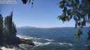 ./images/koeye/fitz-hugh/20260505/fitz-hugh20260505_135001M.jpg