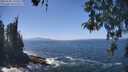 ./images/koeye/fitz-hugh/20260505/fitz-hugh20260505_135501M.jpg